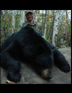 A respectable 475lb (dressed) taken in 2012.   A Boone and Crockett recipient, this was Andy's second bear with Wawang Lake Resort